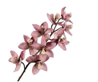 Silk-Ka &#039; Cymbidium Orchidee &#039; Mauve