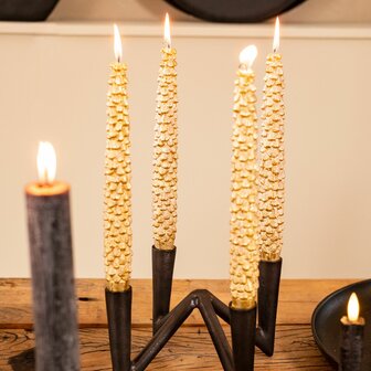 Home Society &#039; Dinerkaars Dennenappel &#039; Goud