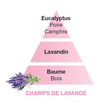 Lampe Berger &#039; Champs de Lavande / Lavender Fields &#039;1L